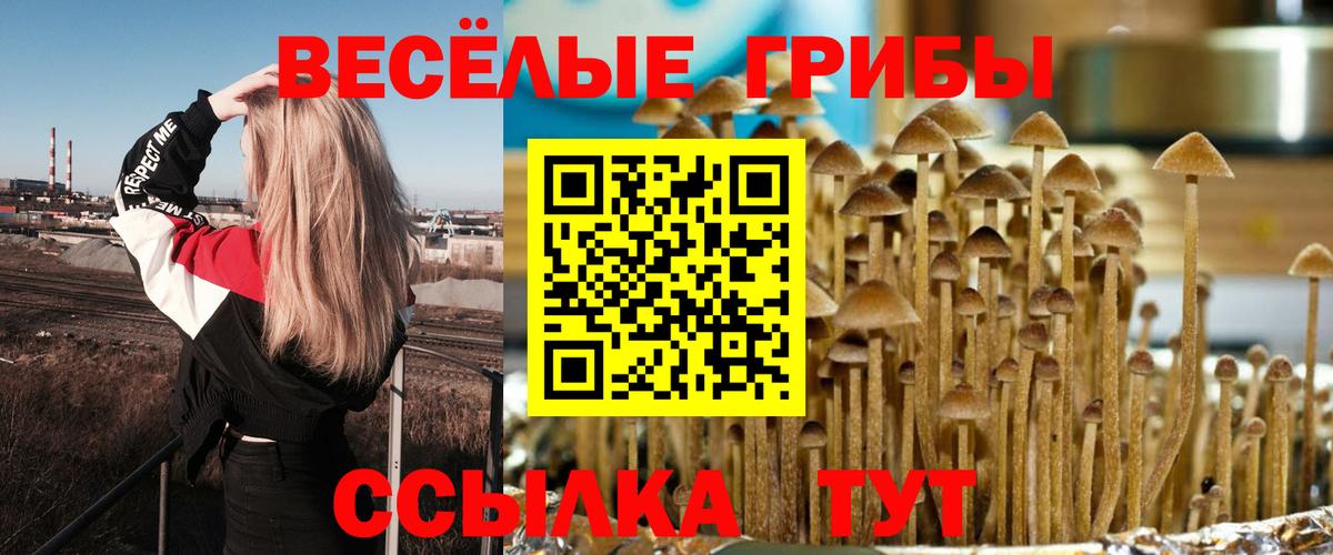 Псилоцибиновые грибы Cubensis  Вход с VPN  Барнаул 